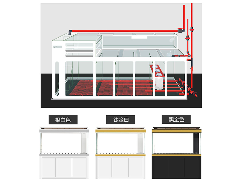 龙享高端系列