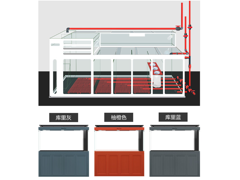 龙彩高端系列