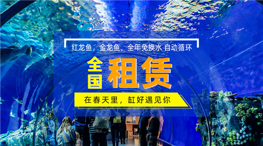 鱼缸定制厂家教你一招自制鱼缸过滤器很实用